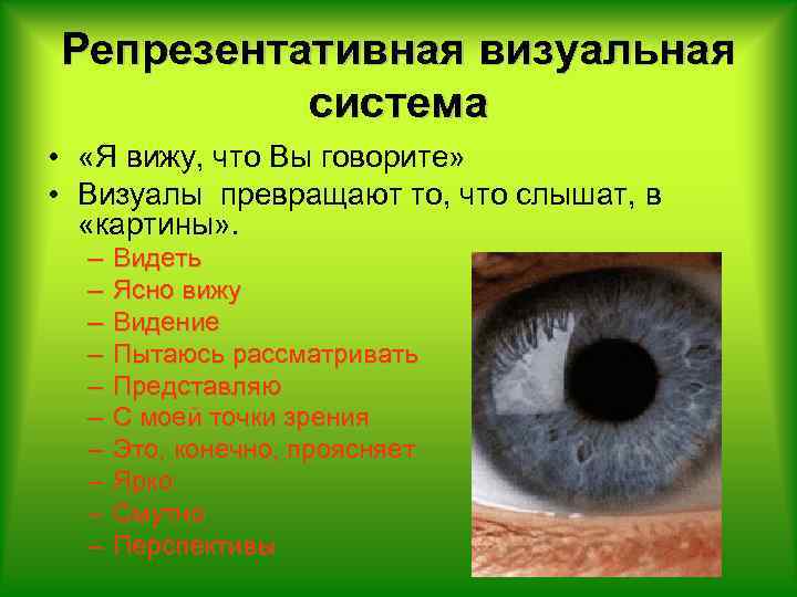 Репрезентативная визуальная система • «Я вижу, что Вы говорите» • Визуалы превращают то, что