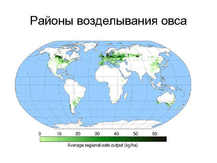 Основные районы возделывания