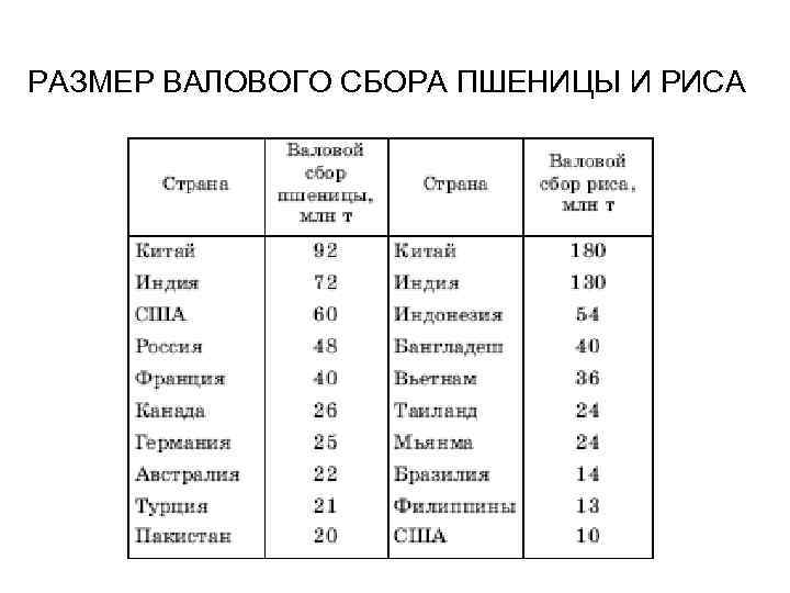 Валовой сбор пшеницы в китае. Таблица валовой сбор зерновых культур и пшеницы. Страны Лидеры по производству зерновых культур. Страны Лидеры по сбору пшеницы.