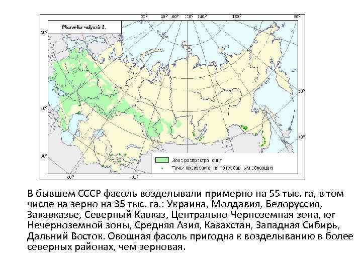 В бывшем СССР фасоль возделывали примерно на 55 тыс. га, в том числе на