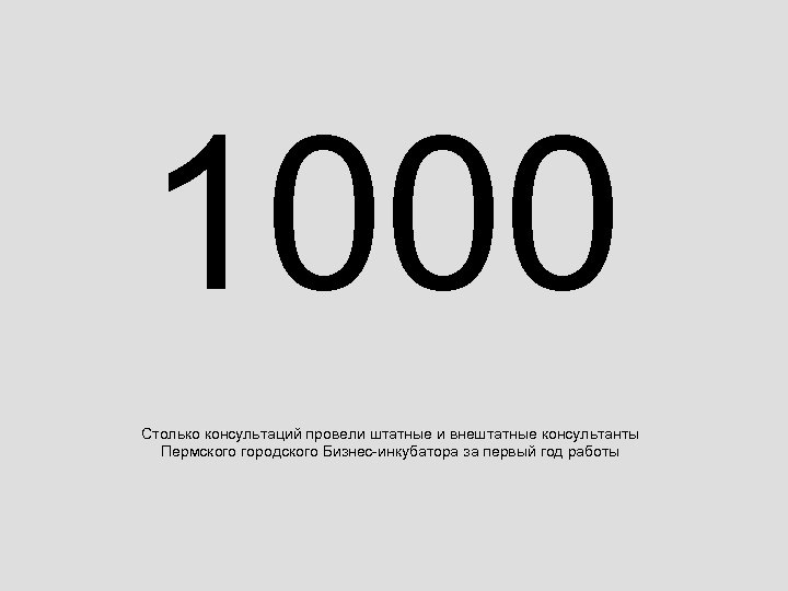1000 Столько консультаций провели штатные и внештатные консультанты Пермского городского Бизнес-инкубатора за первый год