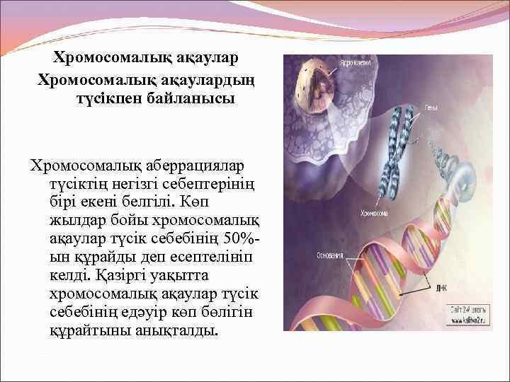 Хромосомалық ақаулардың түсікпен байланысы Хромосомалық аберрациялар түсіктің негізгі себептерінің бірі екені белгілі. Көп жылдар