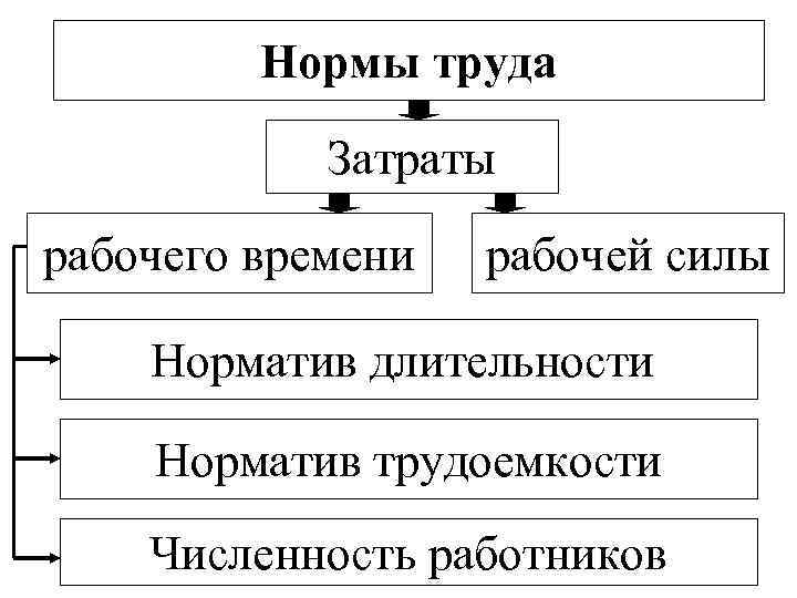 Нормы труда Затраты рабочего времени рабочей силы Норматив длительности Норматив трудоемкости Численность работников 