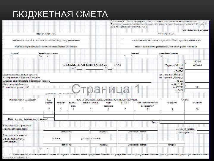 БЮДЖЕТНАЯ СМЕТА 