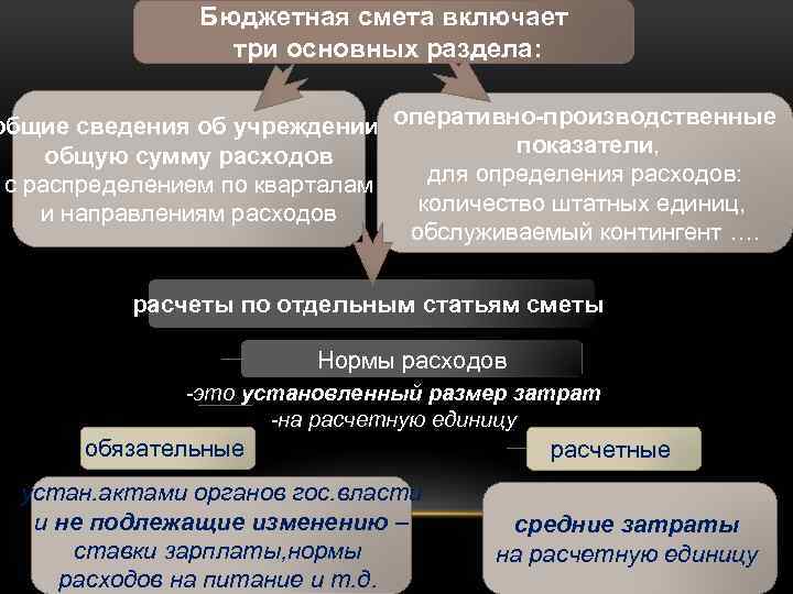 Бюджетная смета включает три основных раздела: общие сведения об учреждении, оперативно-производственные показатели, общую сумму