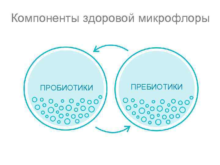 Компоненты здоровой микрофлоры ПРОБИОТИКИ ПРЕБИОТИКИ 