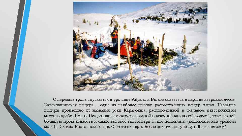 С перевала тропа спускается в урочище Айрык, и Вы оказываетесь в царстве кедровых лесов.