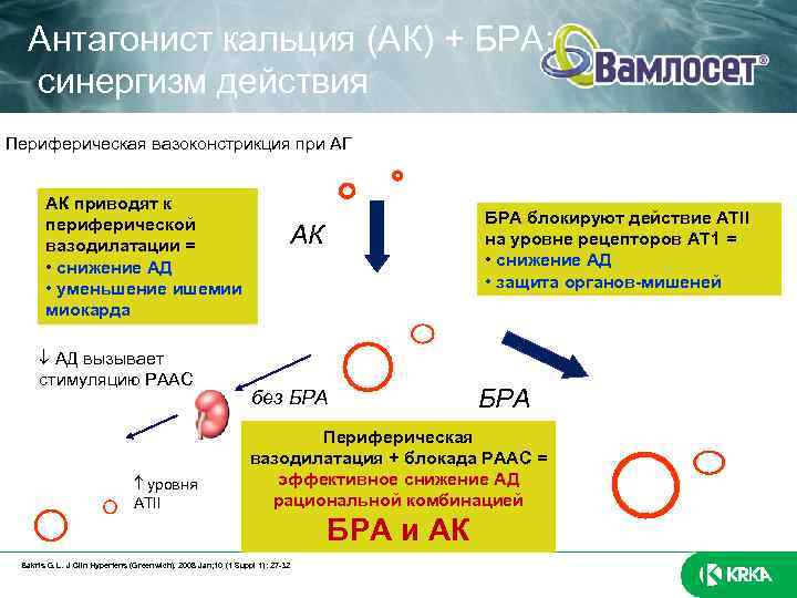Антагонист кальция (АК) + БРА: синергизм действия Периферическая вазоконстрикция при АГ АК приводят к