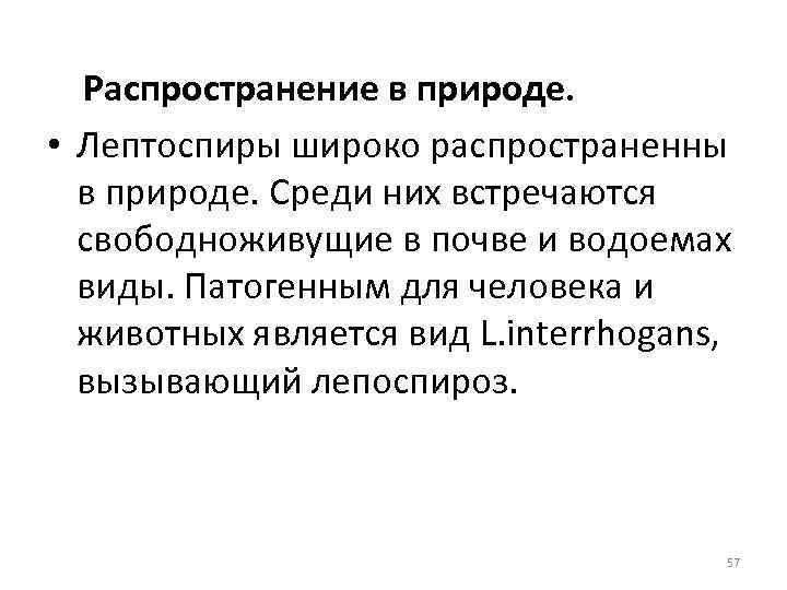 Распространение в природе. • Лептоспиры широко распространенны в природе. Среди них встречаются свободноживущие в