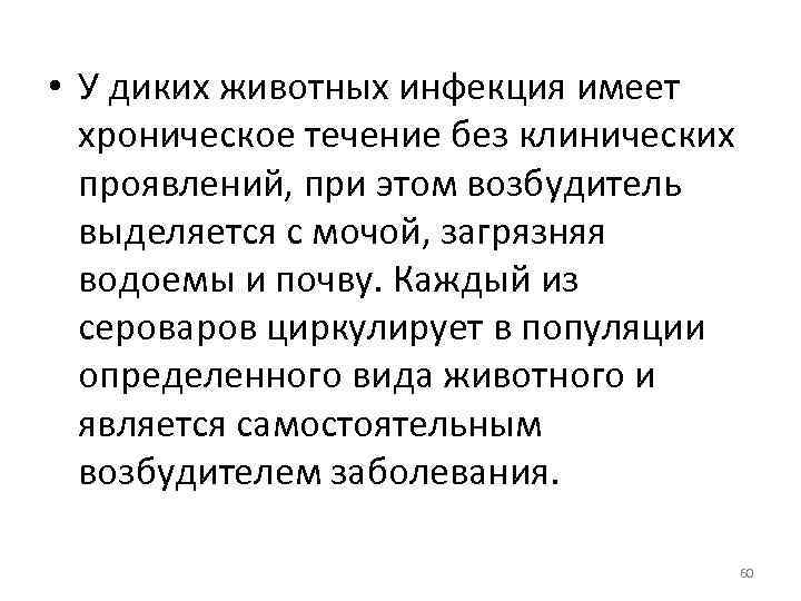  • У диких животных инфекция имеет хроническое течение без клинических проявлений, при этом