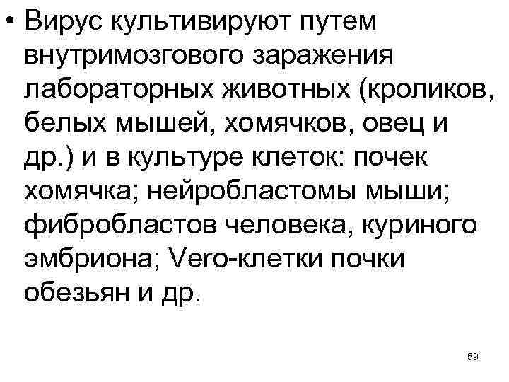  • Вирус культивируют путем внутримозгового заражения лабораторных животных (кроликов, белых мышей, хомячков, овец