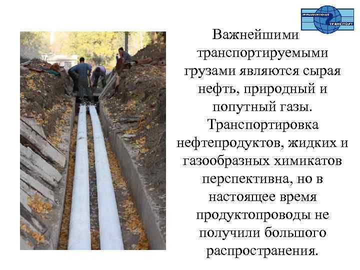 Важнейшими транспортируемыми грузами являются сырая нефть, природный и попутный газы. Транспортировка нефтепродуктов, жидких и