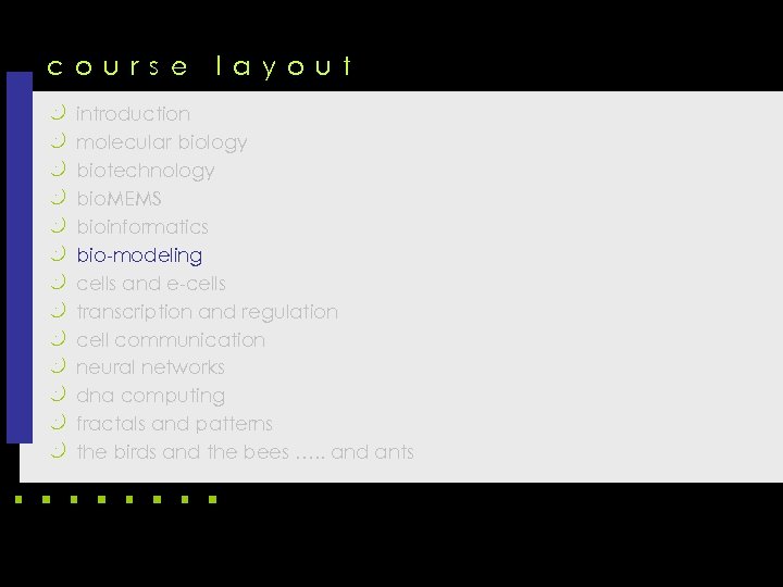 c o u r s e k k k k l a y o