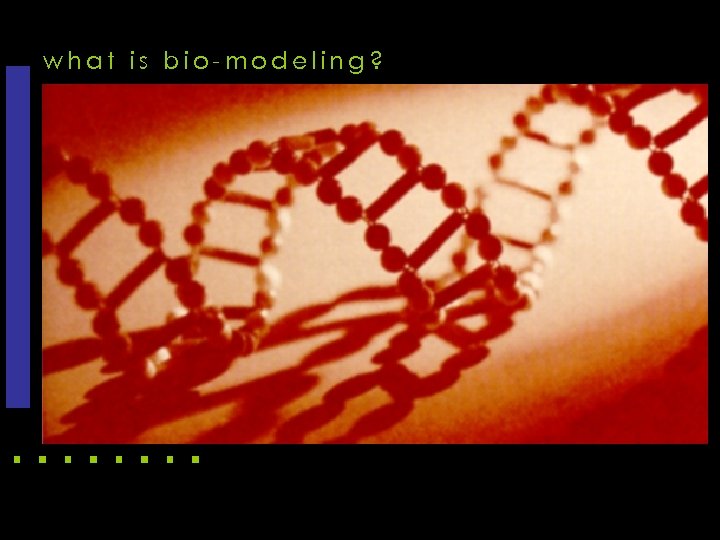what is bio-modeling? 