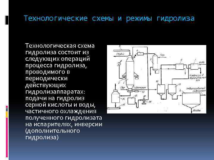 Особенности введения белковых гидролизатов тест с ответами