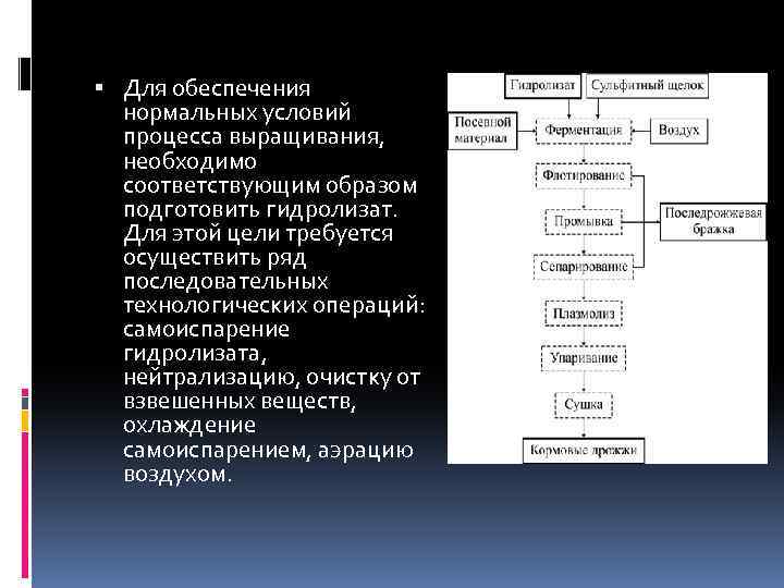  Для обеспечения нормальных условий процесса выращивания, необходимо соответствующим образом подготовить гидролизат. Для этой