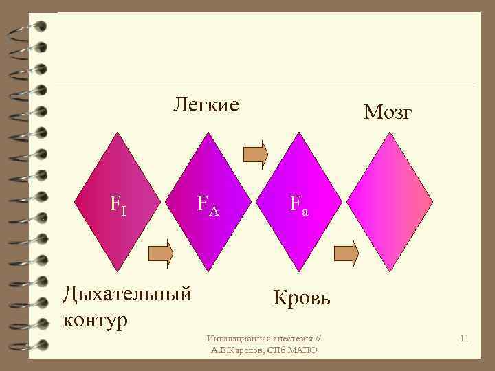 Легкие FI Дыхательный контур FA Мозг Fa Кровь Ингаляционная анестезия // А. Е. Карелов,