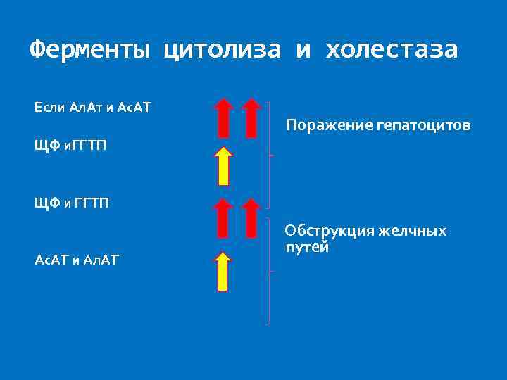 Проанализируйте диаграмму активности ферментов гамма глутамилтрансферазы и щелочной фосфатазы