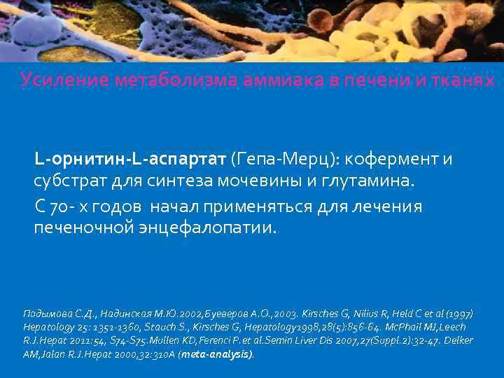 Усиление метаболизма аммиака в печени и тканях L-орнитин-L-аспартат (Гепа-Мерц): кофермент и субстрат для