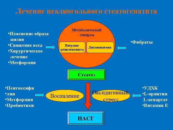 Лечение неалкогольного стеатогепатита • Изменение образа жизни • Снижение веса • Хирургическое лечение •