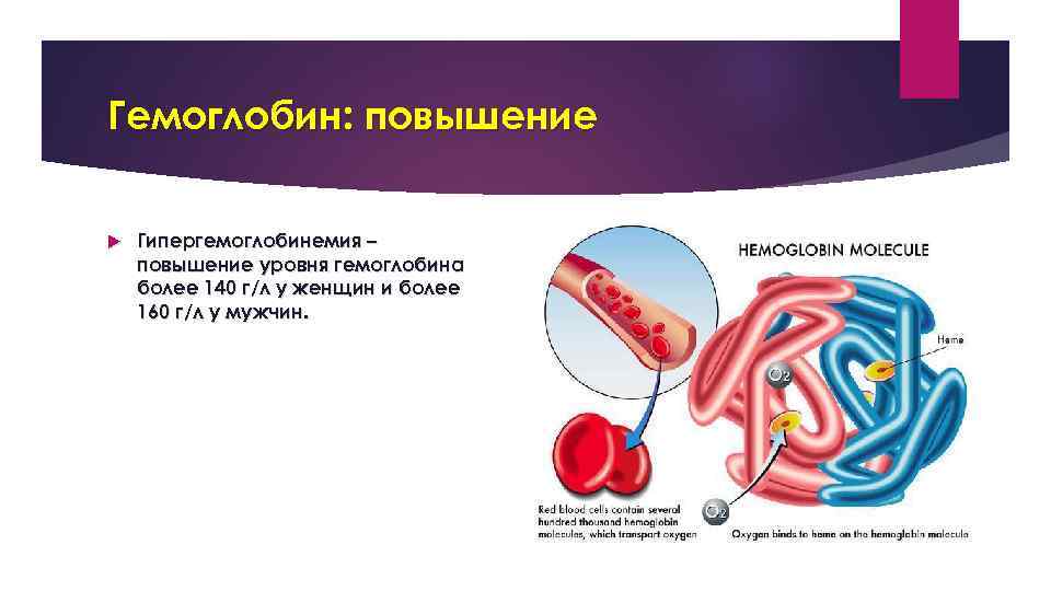 Гемоглобин: повышение Гипергемоглобинемия – повышение уровня гемоглобина более 140 г/л у женщин и более