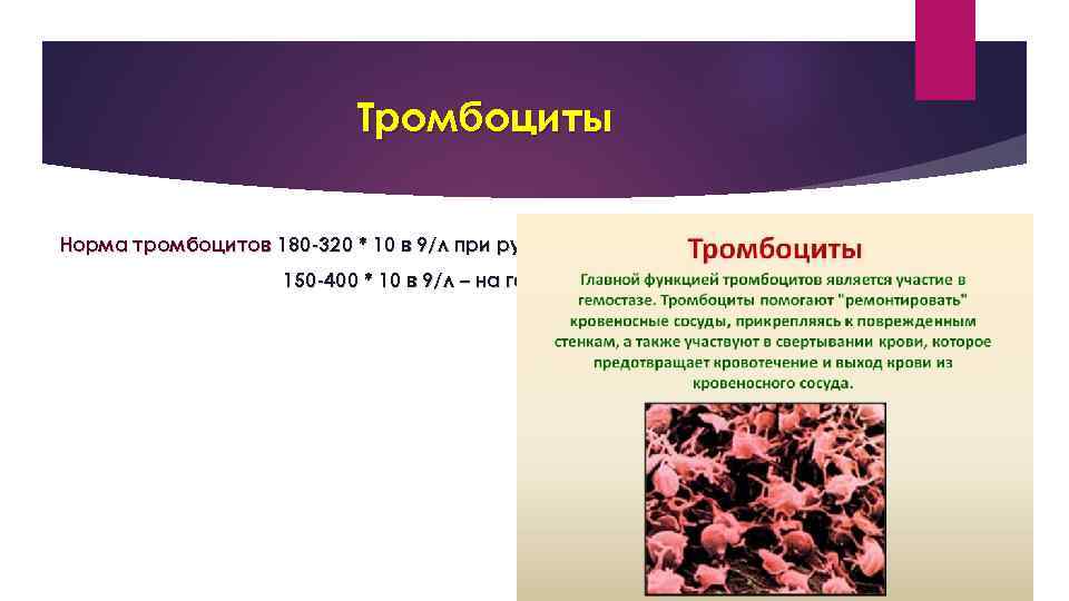 Тромбоциты Норма тромбоцитов 180 -320 * 10 в 9/л при ручном подсчете и 150