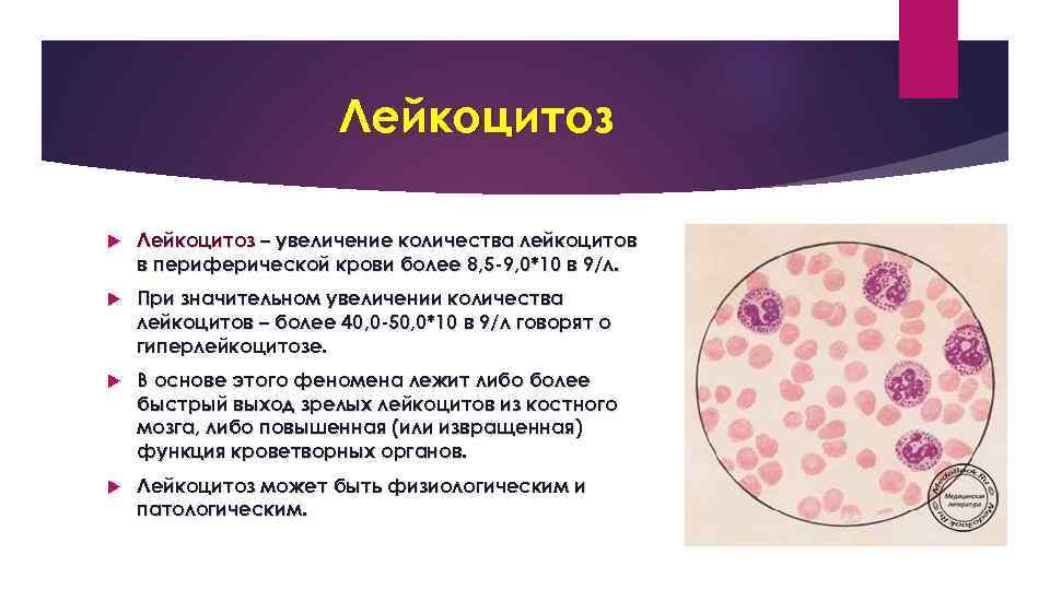 Лейкоцитоз – увеличение количества лейкоцитов в периферической крови более 8, 5 -9, 0*10 в