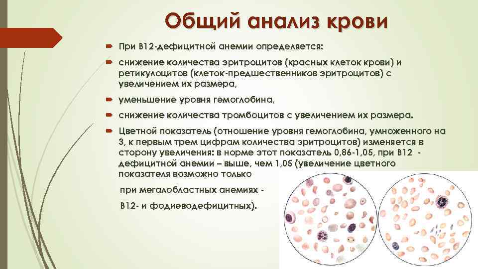 Как изменится количество эритроцитов и лейкоцитов. Анемия в12 дефицитная анемия анализ крови. В12 анемия анализ крови показатели. Общий анализ крови при б 12 анемии. В12 дефицитная анемия показатели крови.