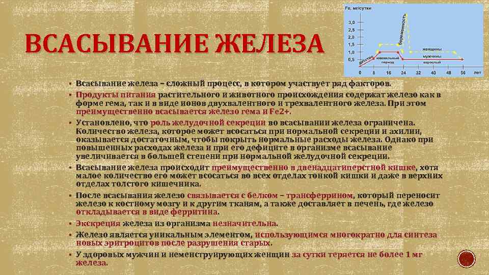 В какой форме железо способно проходить через стенку кишечника