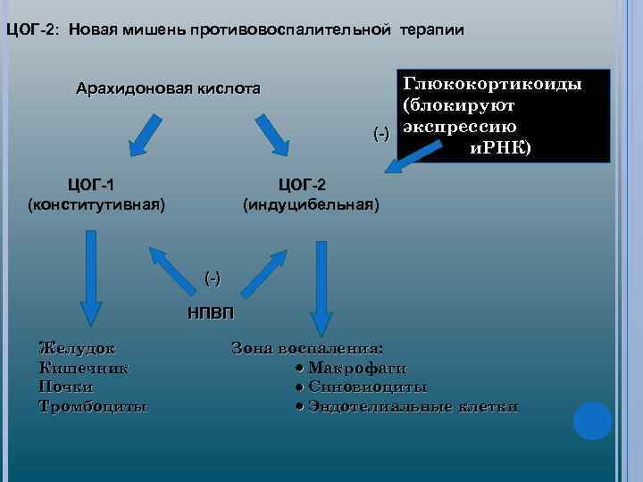 Цог 2. ЦОГ 2 механизм действия. ЦОГ-1 И ЦОГ-2 что это. Циклооксигеназа ЦОГ это. Арахидоновая кислота ЦОГ 1 И ЦОГ 2.