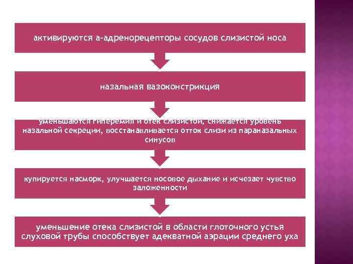 активируются a-адренорецепторы сосудов слизистой носа назальная вазоконстрикция уменьшаются гиперемия и отек слизистой, снижается уровень