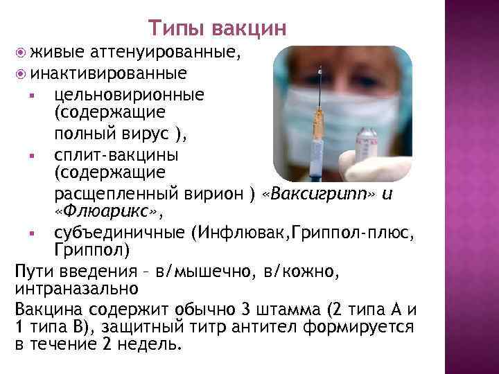 Типы вакцин живые аттенуированные, инактивированные § цельновирионные (содержащие полный вирус ), § сплит-вакцины (содержащие
