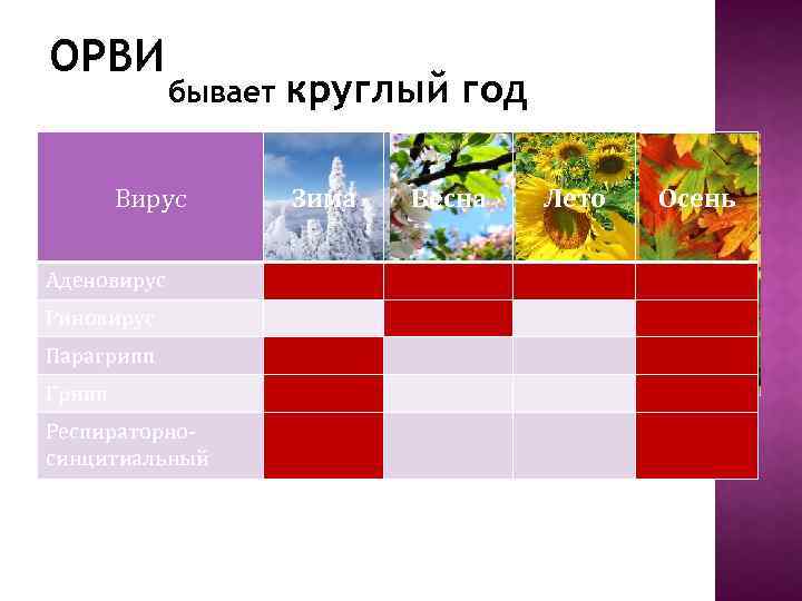 ОРВИ бывает Вирус Аденовирус Риновирус Парагрипп Грипп Респираторносинцитиальный круглый год Зима Весна Лето Осень