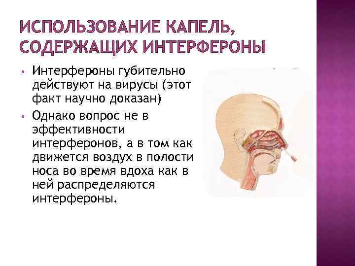 ИСПОЛЬЗОВАНИЕ КАПЕЛЬ, СОДЕРЖАЩИХ ИНТЕРФЕРОНЫ • • Интерфероны губительно действуют на вирусы (этот факт научно