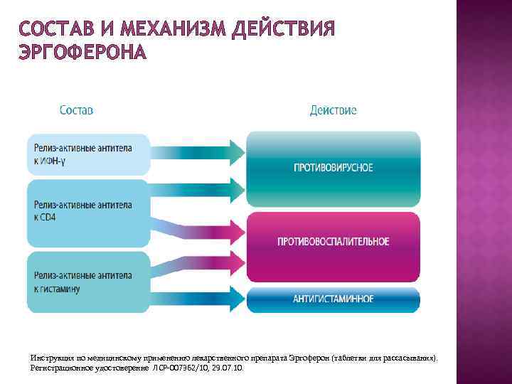 СОСТАВ И МЕХАНИЗМ ДЕЙСТВИЯ ЭРГОФЕРОНА Инструкция по медицинскому применению лекарственного препарата Эргоферон (таблетки для
