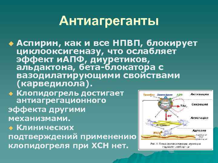 Антиагреганты u Аспирин, как и все НПВП, блокирует циклооксигеназу, что ослабляет эффект и. АПФ,