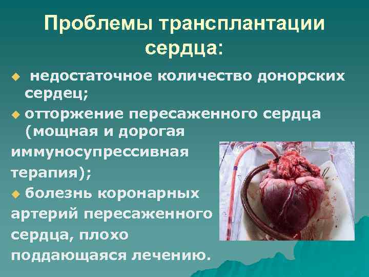 Проблемы трансплантации сердца: недостаточное количество донорских сердец; u отторжение пересаженного сердца (мощная и дорогая