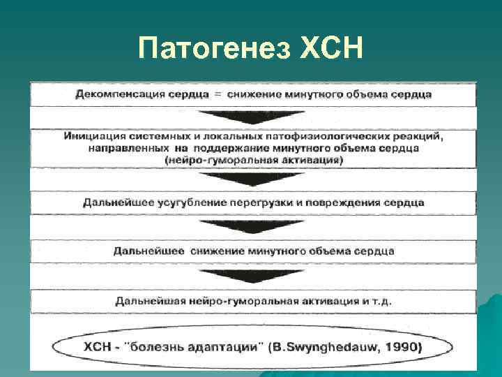 Патогенез ХСН 