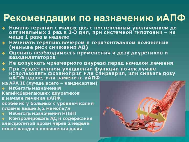 Рекомендации по назначению и. АПФ u u u Начало терапии с малых доз с