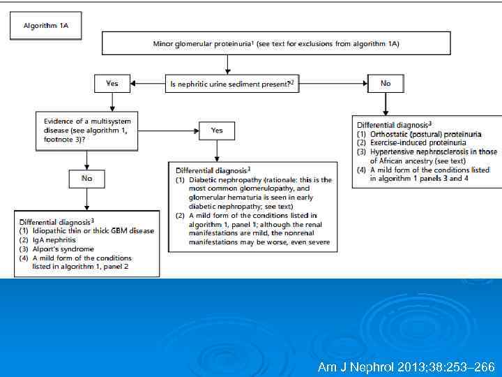 Am J Nephrol 2013; 38: 253– 266 