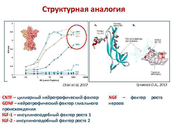 Структурная аналогия Громова О. А. , 2013 Chen et al, 2007 CNTF – цилиарный