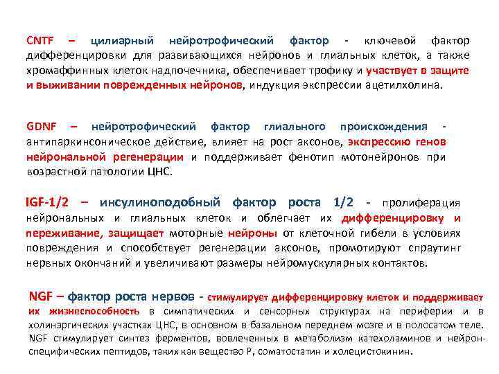 CNTF – цилиарный нейротрофический фактор - ключевой фактор дифференцировки для развивающихся нейронов и глиальных