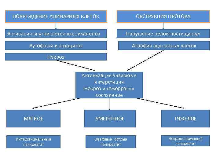 ПОВРЕЖДЕНИЕ АЦИНАРНЫХ КЛЕТОК ОБСТРУКЦИЯ ПРОТОКА Активация внутриклеточных зимогенов Нарушение целостности дуктул Аутофагия и экзоцитоз