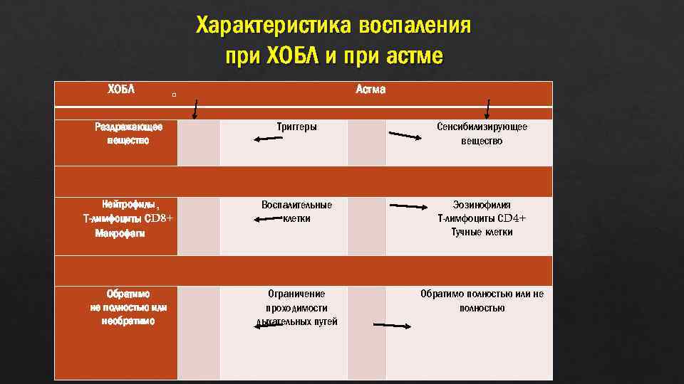 Характеристика воспаления при ХОБЛ и при астме ХОБЛ Астма Раздражающее вещество Триггеры Сенсибилизирующее вещество