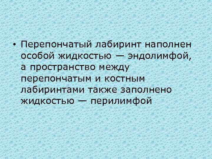  • Перепончатый лабиринт наполнен особой жидкостью — эндолимфой, а пространство между перепончатым и