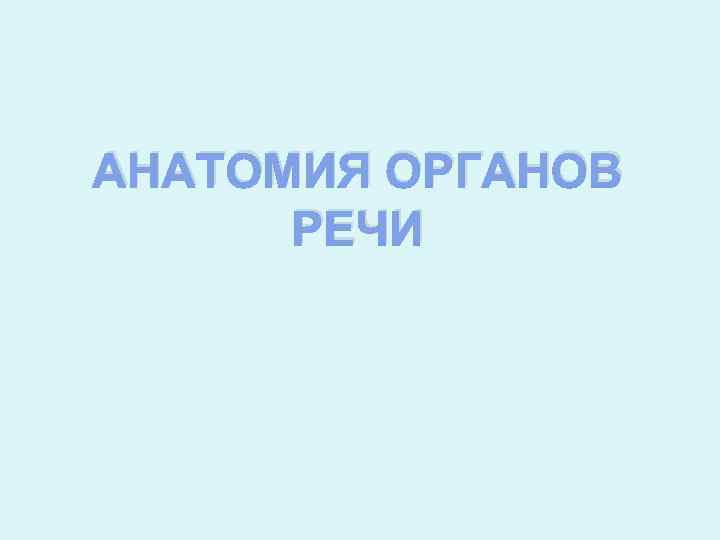 АНАТОМИЯ ОРГАНОВ РЕЧИ 