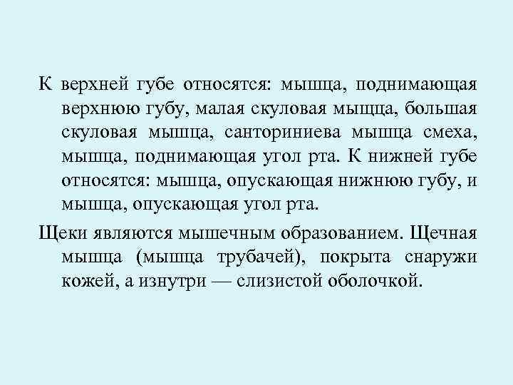 К верхней губе относятся: мышца, поднимающая верхнюю губу, малая скуловая мыщца, большая скуловая мышца,