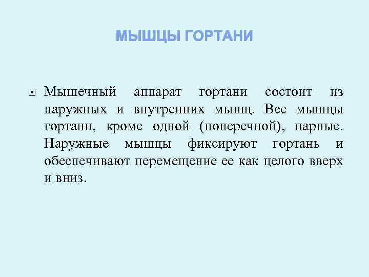 МЫШЦЫ ГОРТАНИ Мышечный аппарат гортани состоит из наружных и внутренних мышц. Все мышцы гортани,