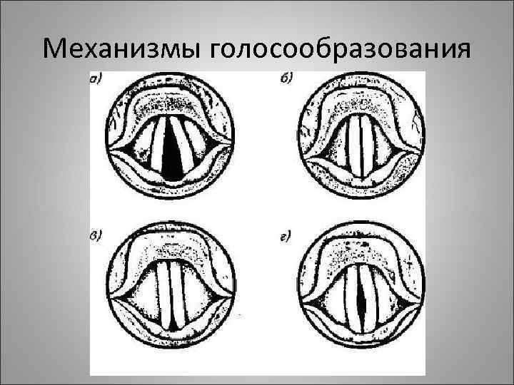 Механизмы голосообразования 