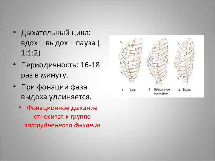 Цикл дыхания